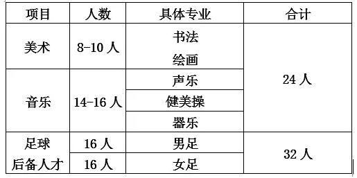 青岛63中2019年特长生、足球后备人才招生简章(图1)